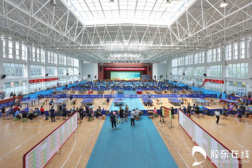 核力乒乓，共赢绿色未来 2024核能科普宣传杯全民健身乒乓球大奖赛圆满落幕