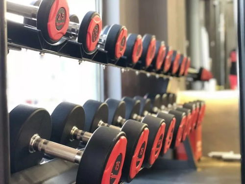 脂肪险走下荧幕来到吴江 当全民健身遇见科技服务